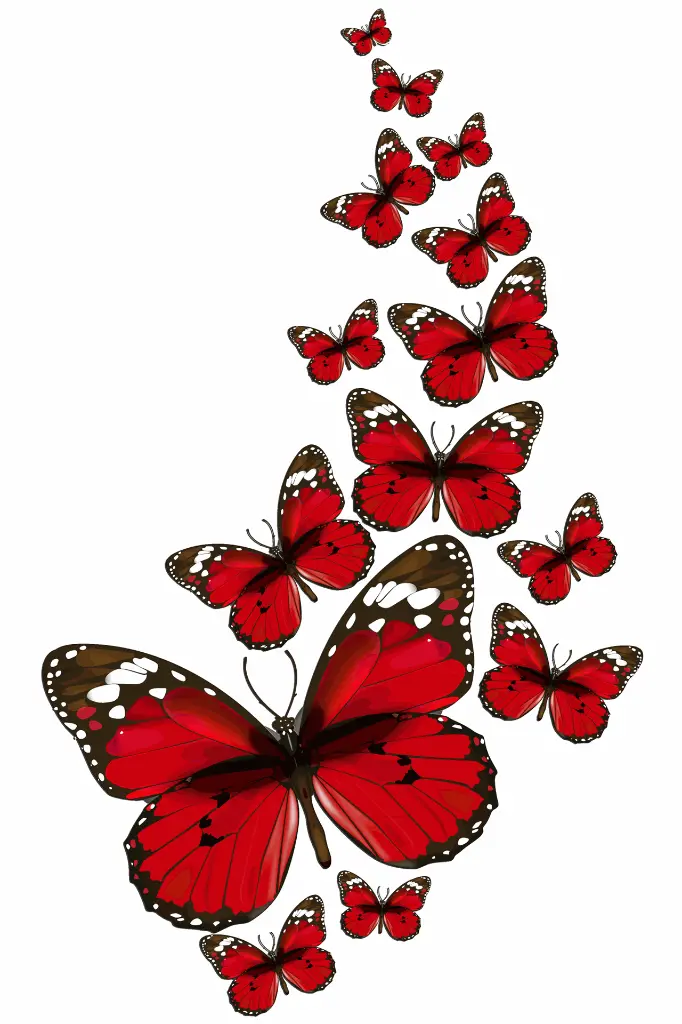 Flutter Bold main image.webp