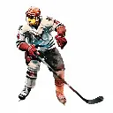 ice hockey 3.webp