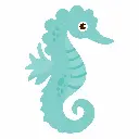 Sea Collection (4).webp